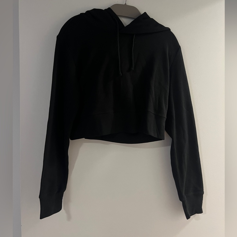 Aritzia Sunday Best Crop Hoodie